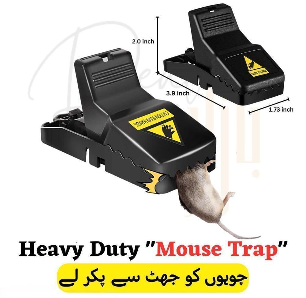 High Quality Snap Mouse Trap with Free Delivery